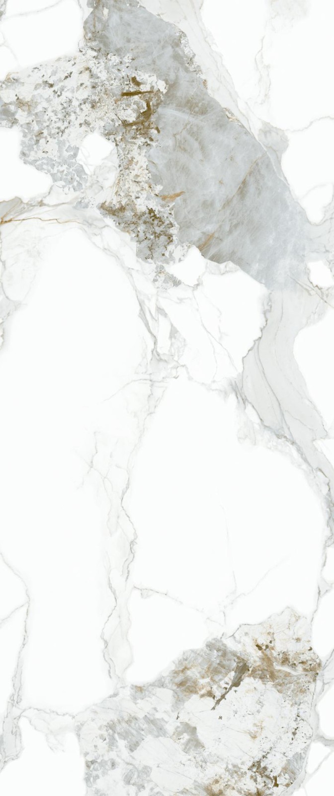 YB1246122BG 香奈儿