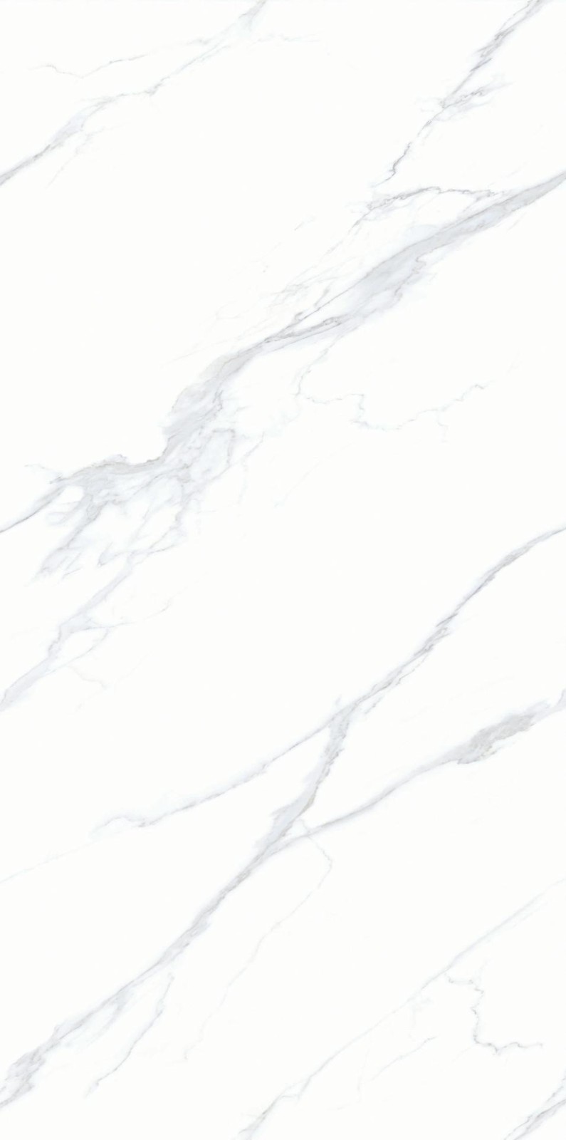 YB1246023B 斯拉夫白