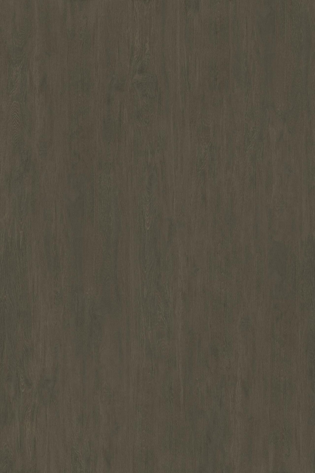 YCB9027073B 领航檀木黄