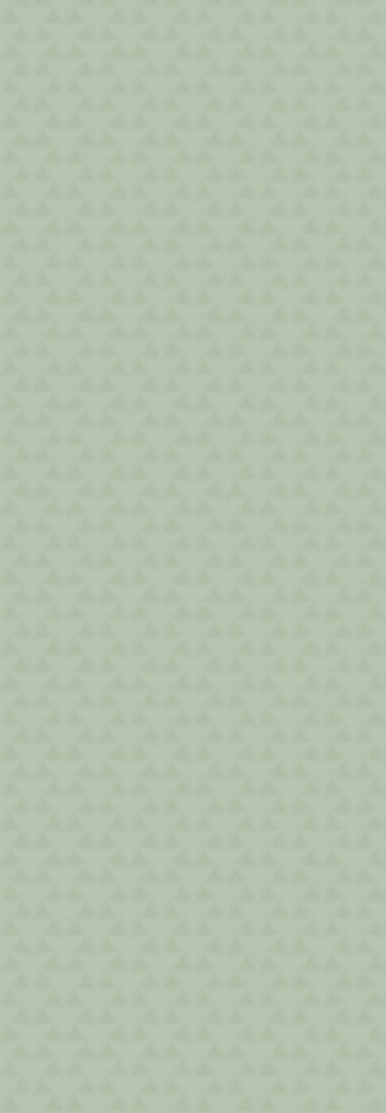 YCB9027006BJ 领航抹茶绿