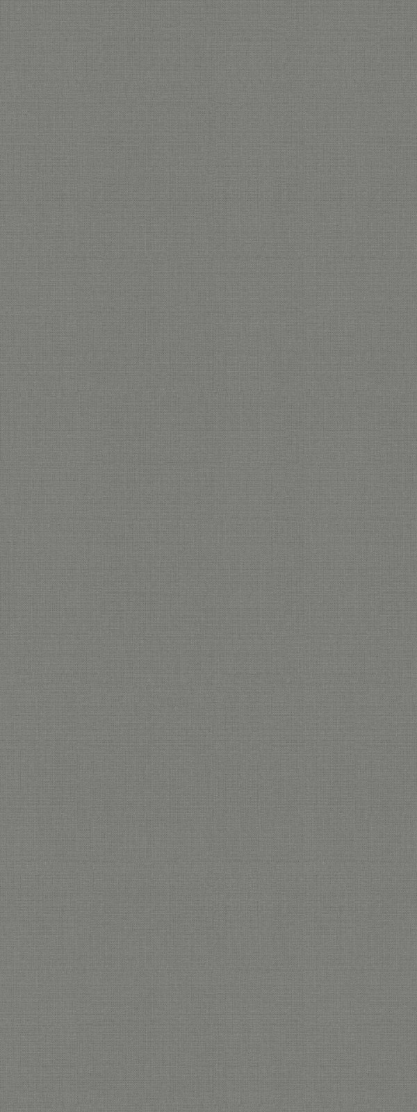 2028Z意大利触感布纹-科技灰